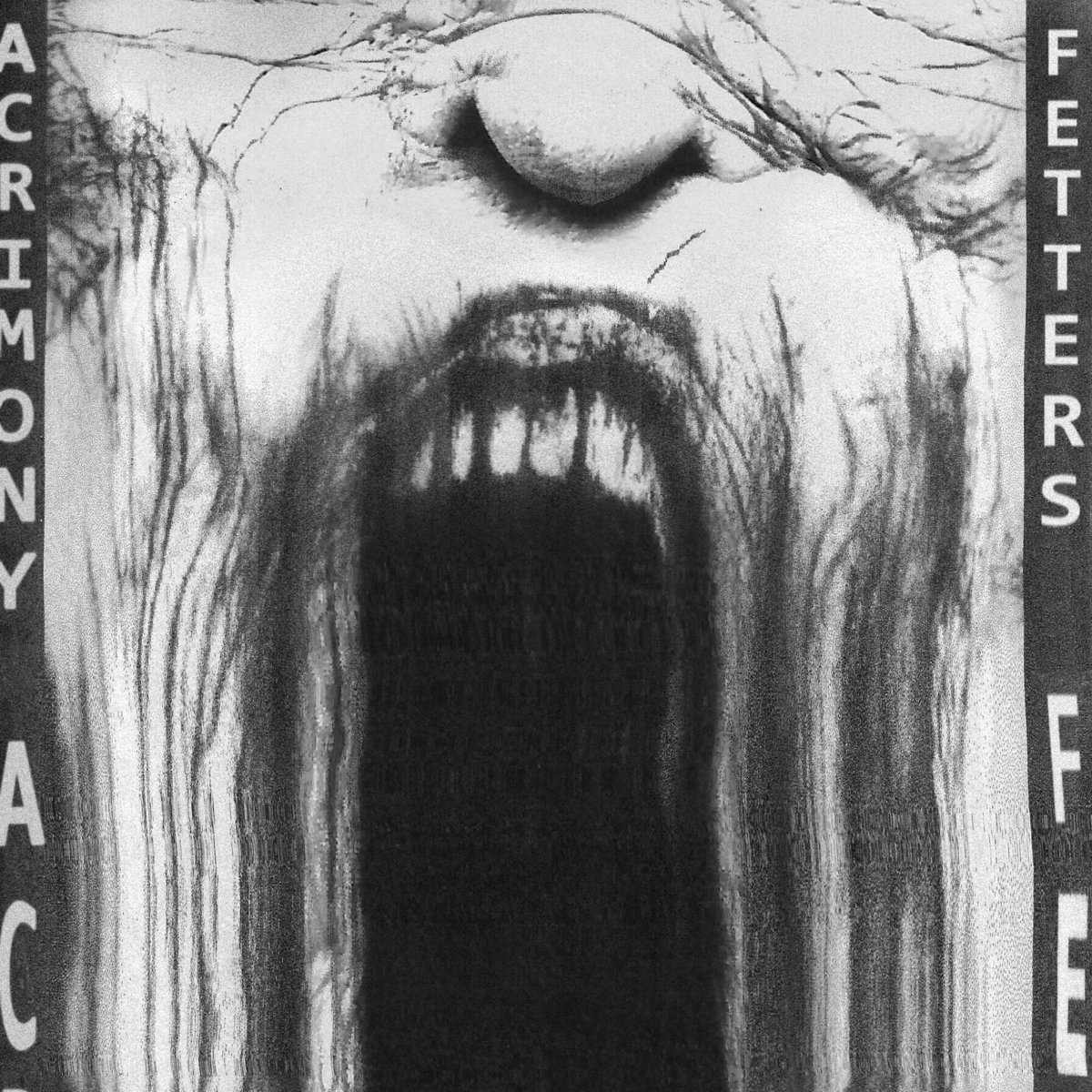 Cover art for Fetters - Acrimony