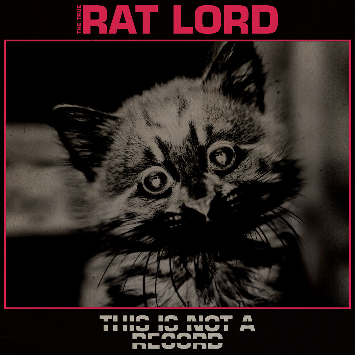 Cover art for The True Rat Lord - This Is Not a Record